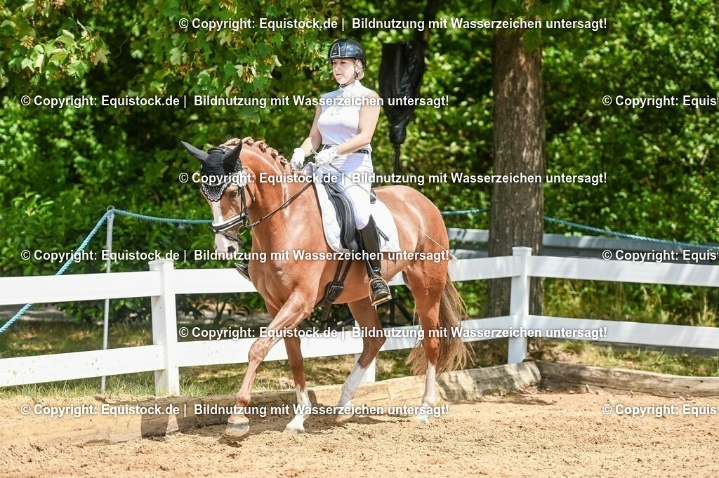 20230716_03_Dressurprfg. Kl.L - Tr._0502 | equistock