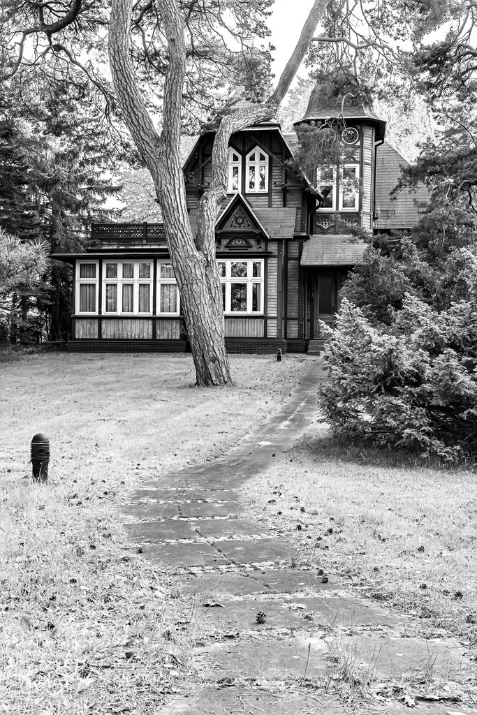 Path | SCHNAITZ Prints & Fine Art by Alexander Schnaith - Realisiert mit Pictrs.com