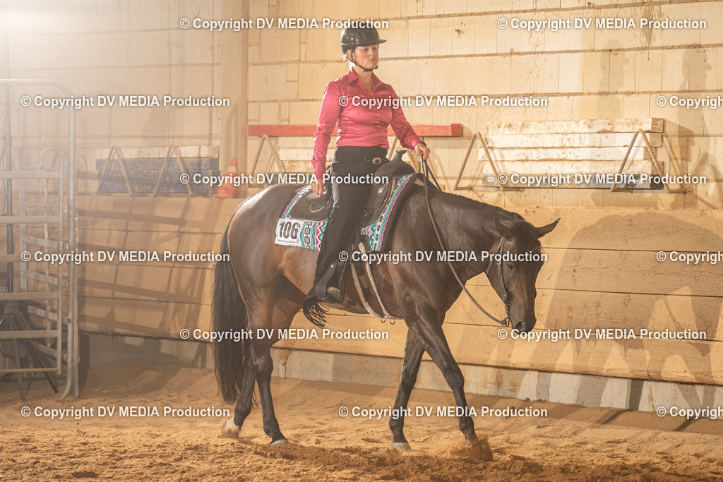 NID03489 | dv-media-shop - Realisiert mit Pictrs.com