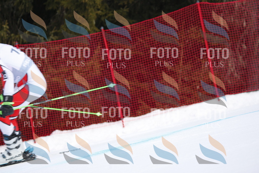 D7842 | holidayphoto