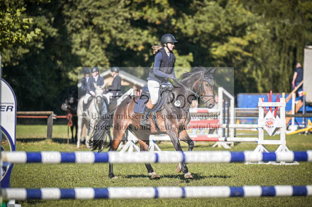 DOS_0381 | Entdecke hochwertige Reitturnierfotos von Foto Oger. Professionell, emotional und authentisch – jetzt Lieblingsmomente im Shop bestellen.Deutschlandweite Turnierfotografie. - Realisiert mit Pictrs.com