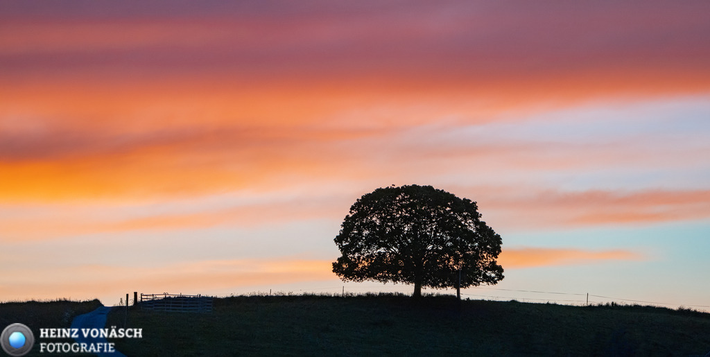 Landschaften_0025 | Alle Bilder von Heinz Vonäsch Fotografie können alle zu günstigen Preisen gekauft werden! Download der Bilder, Ausdrucke, Postkarten, Tassen T-Shirts, Kalender, Alu- Dibond usw. - Realisiert mit Pictrs.com