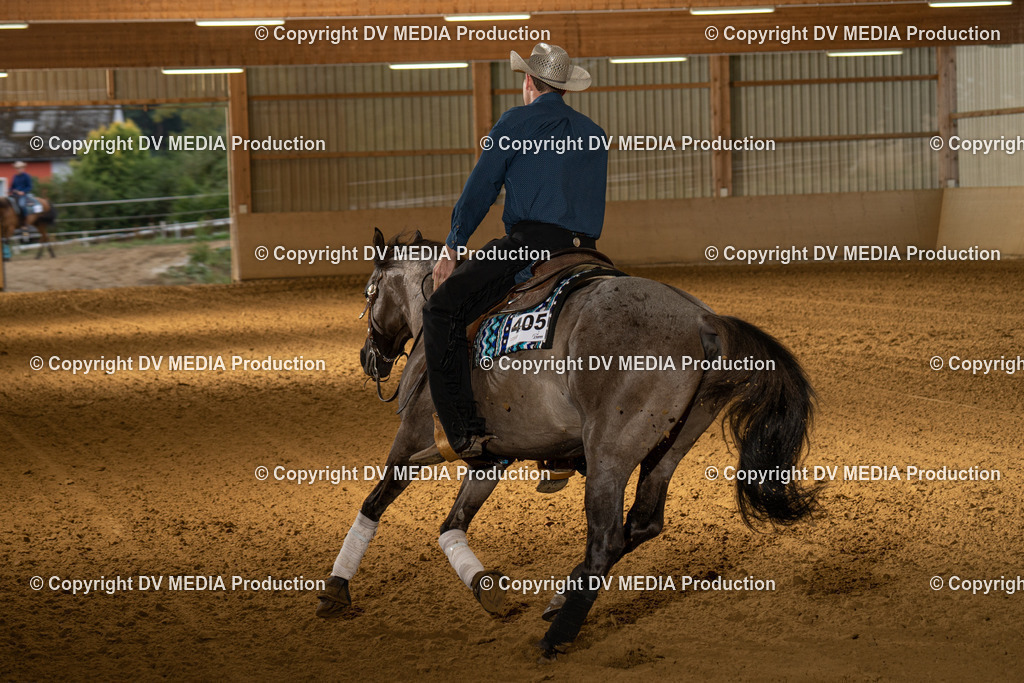 LAU01326 | dv-media-shop - Realisiert mit Pictrs.com