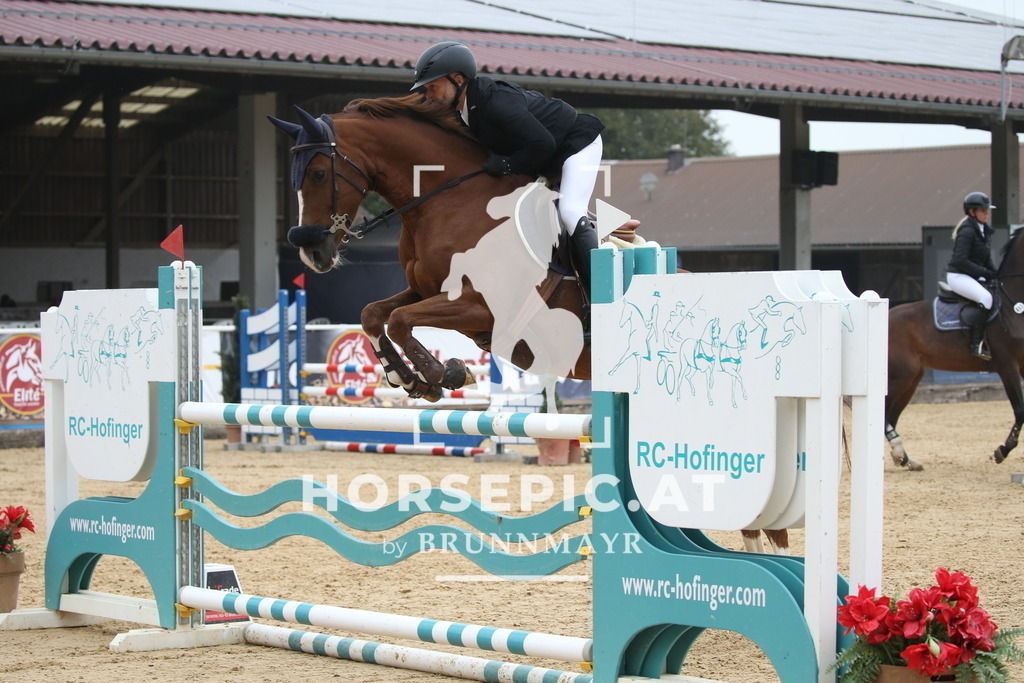 DL2Q3756 | Willkommen bei Brunnmayr - Design & Fotografie – Ihrem Spezialisten für Reitturniere und Pferdeveranstaltungen in Oberösterreich, Salzburg und Bayern! Seit über 17 Jahren sind wir leidenschaftlich dabei.