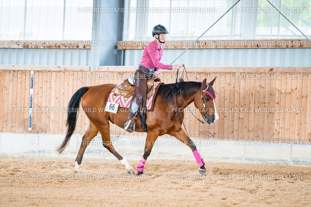 DSC09613 | Pferdegrafie