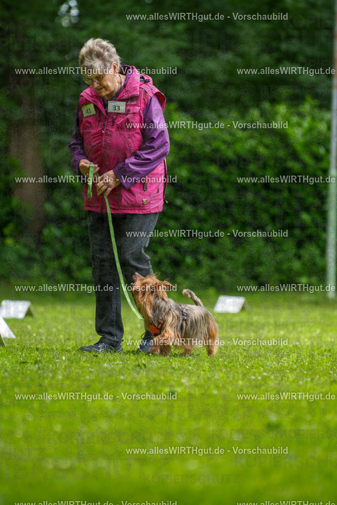 @allesWIRTHgut_Tierfotografie - www.allesWIRTHgut.de - 122137-7R508888 | Professionelle Tierfotografie in Mönchengladbach von Daniel Wirth (allesWIRTHgut). Liebevolle & natürliche Bilder von Hunden & Katzen für unvergessliche Erinnerungen.
