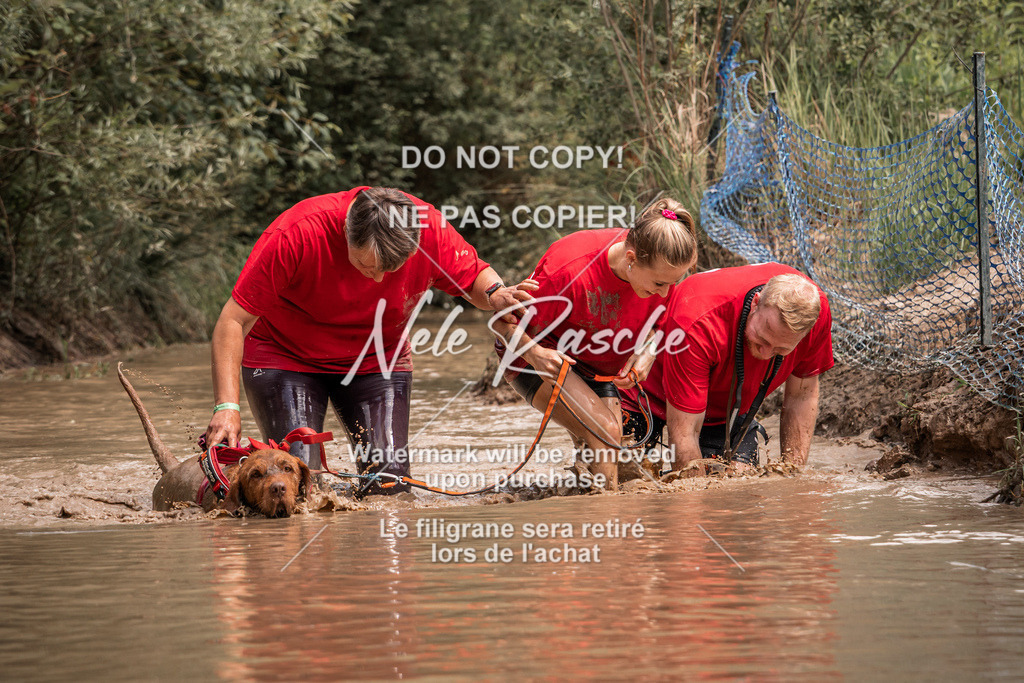 nelerasche_Hoope2026_So1400-1430_88 | nelerasche