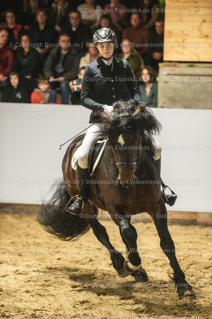 20240302_Hengstvorstellung_Marbach_TOMsPiC_0290 | equistock