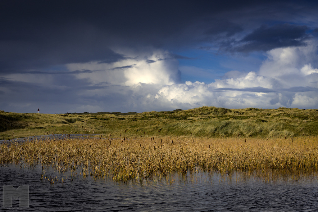 Der Leuchtturm List West | Landschafts- und Tierfotografie zu allen Jahreszeiten. Und immer die Schönheit des Lichtes im Auge... - Realisiert mit Pictrs.com