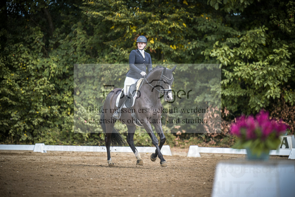 DOS_0279A | Entdecke hochwertige Reitturnierfotos von Foto Oger. Professionell, emotional und authentisch – jetzt Lieblingsmomente im Shop bestellen.Deutschlandweite Turnierfotografie. - Realisiert mit Pictrs.com