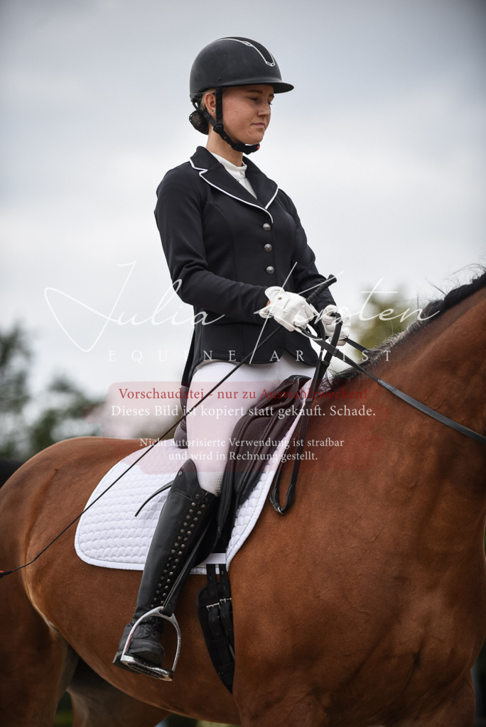 DSC_8282 | Pferde- und Turnierfotografie in Westsachsen. Pferdeportraits, Auftragszeichnungen und intuitive Kunst.