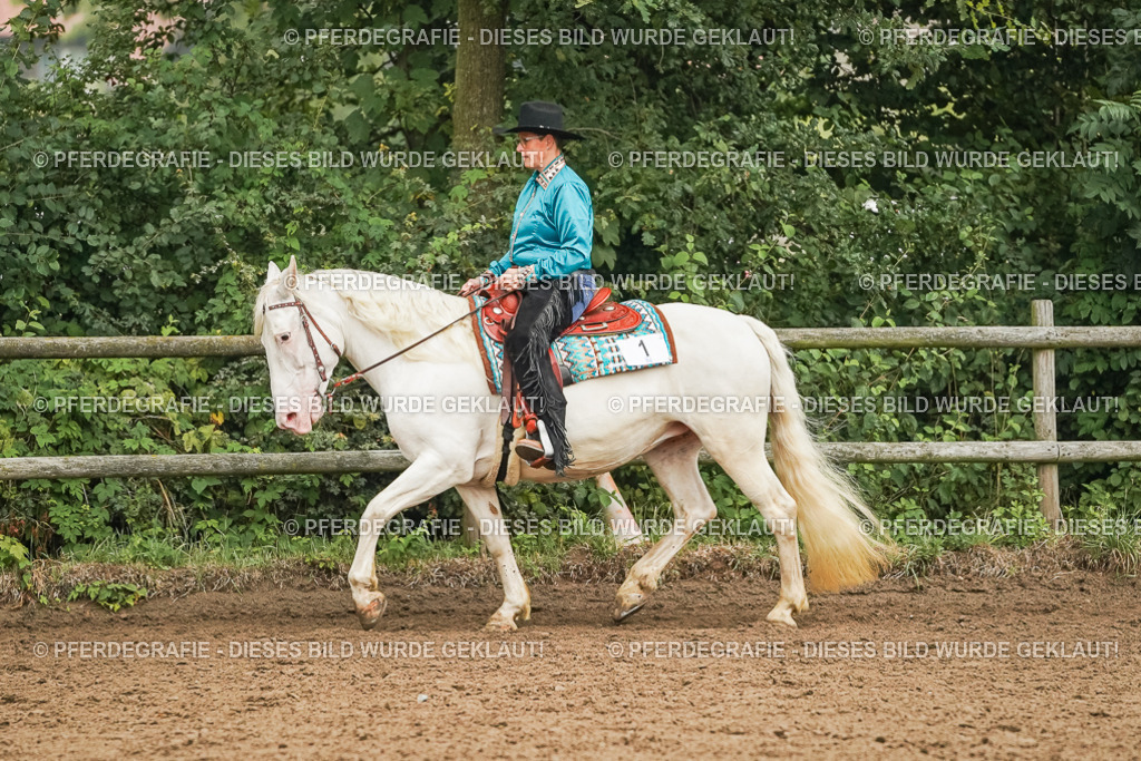 DSC01882 | Pferdegrafie