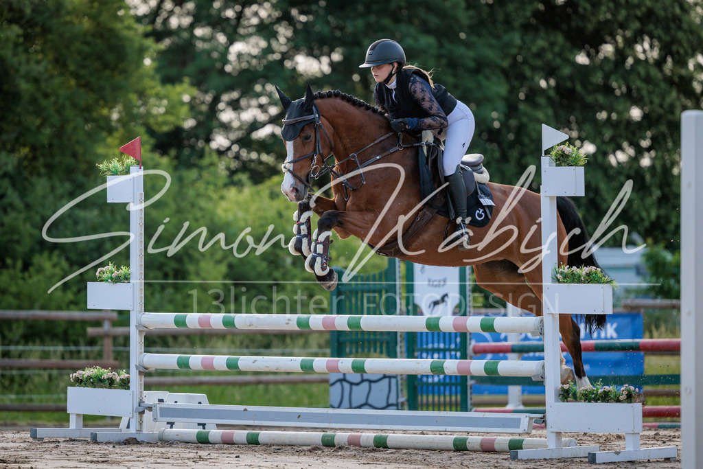 20260529-_3LI0997 | Tierfotografie Pferde, Hunde, Katzen, Haustiere.
Turnierfotografie Reitturniere, Reiten, Springreiten, Dressur in Hanau, dem Main-Kinzig-Kreis und dem Rhein-Main- Gebiet um Frankfurt