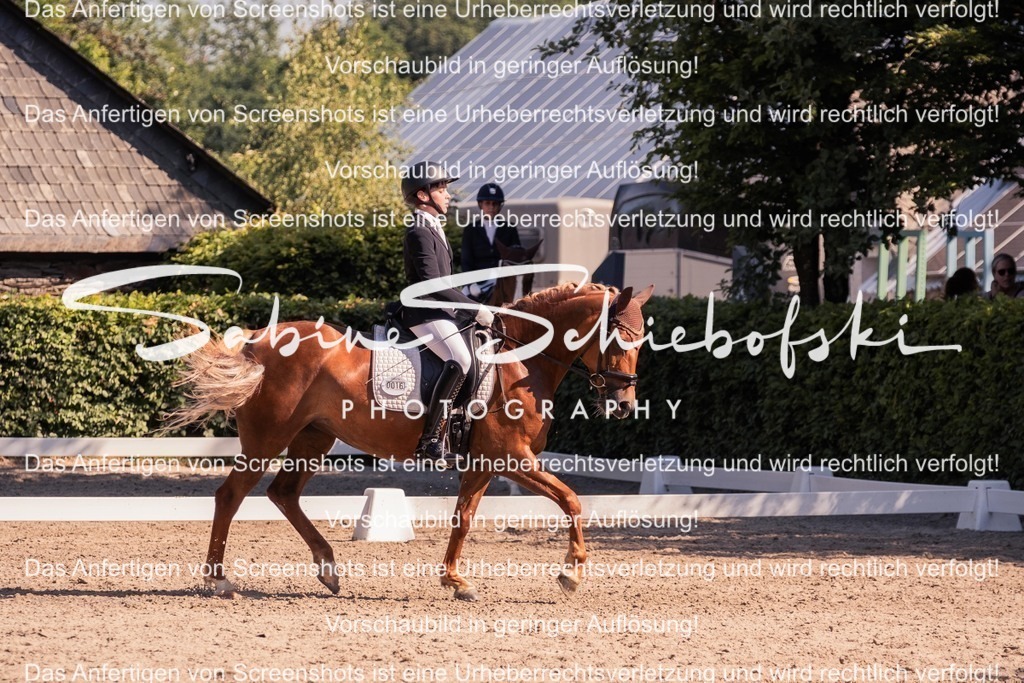 2025_05_31_DSCF2996 | People- und Tierfotografie, Imageaufnahmen, Veranstaltungsfotografie und Wandbilder aus der Natur ★ Made in Germany ✔️ Druck + Downloads ✔️ Naturfotografie in Top Qualität ★ schneller Versand, weltweite Lieferung! - Realisiert mit Pictrs.com