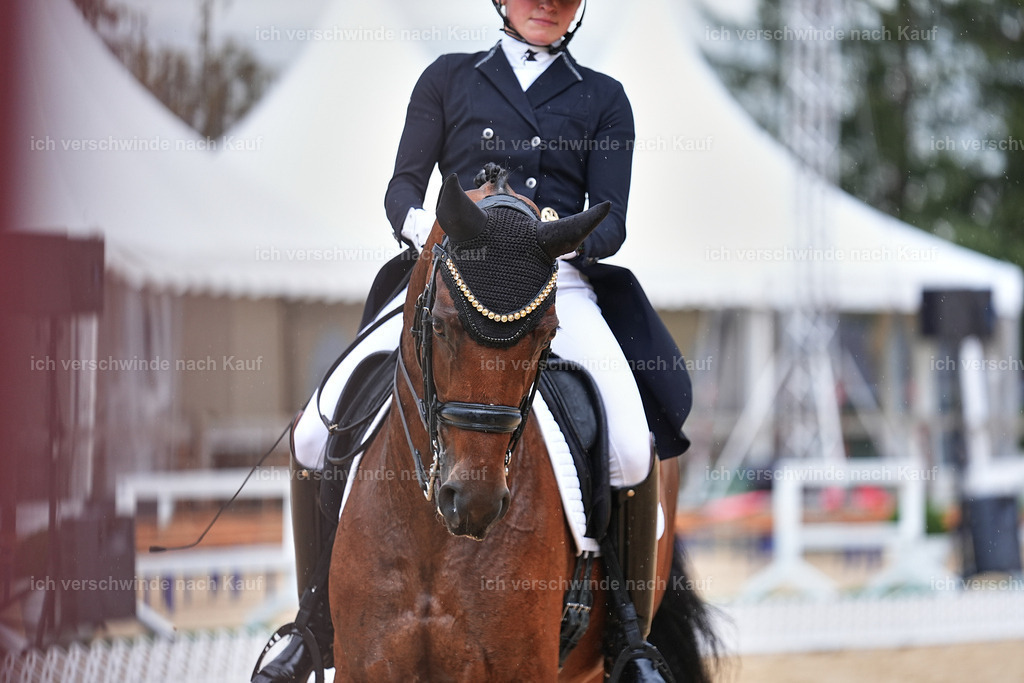 8_1-100-Klasse S_  -Marixx-4193 | working equitationturnier fotograf videograf stoibphotography marixx film working equitation deutschland reitsport turnierfotografie eventfotografie equestrian events