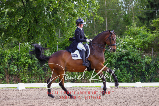 DKP41708 | Turnierfotos kaufen im Webshop von Daniel Kuhl Photography – entdecke professionelle Reitsportfotos aus Turnieren & Events. Hochwertige Turnierbilder online bestellen & sichern. Jetzt Fotos von Reitsportturnieren kaufen!