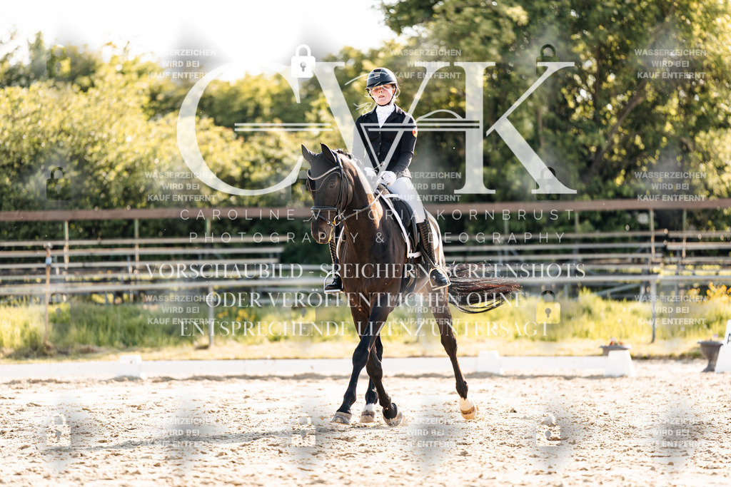 CK909886 | Turnierfotografie Pferdefotografie Trier Rheinland-Pfalz Pferdesport Reitsport Tierfotografie Sportfotografie Pferdevideo Pferdevideografie Equestrianvideography equestrianphotography  - Realisiert mit Pictrs.com