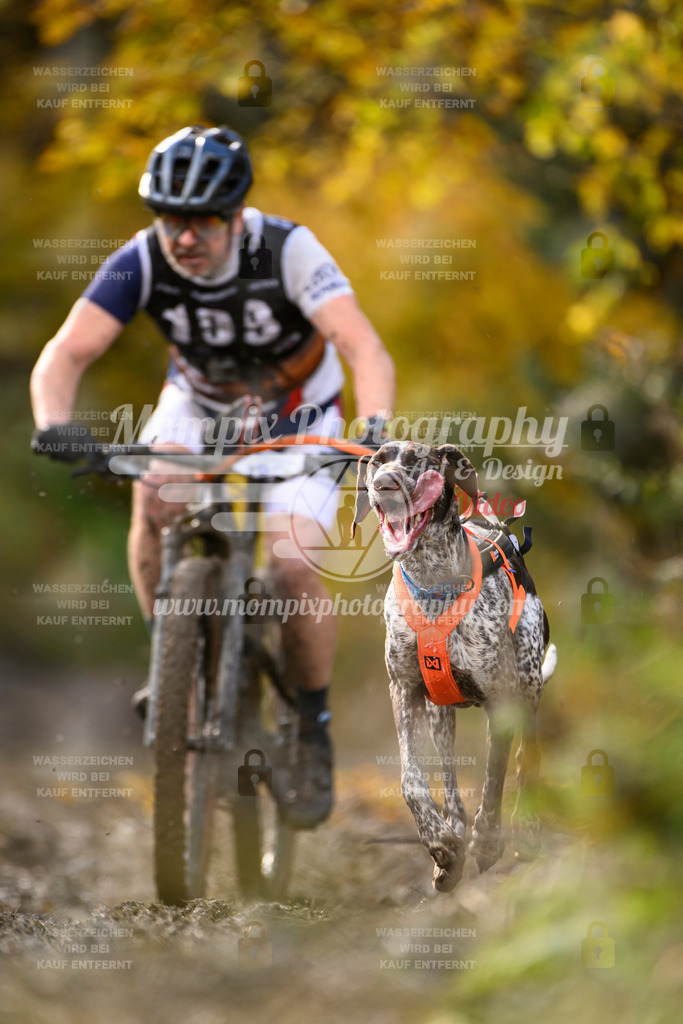 MompixPhotography_ICF_WC_2024_SA_Bike_-319 | PayLife