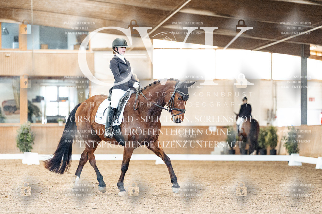 CK909277 | Turnierfotografie Pferdefotografie Trier Rheinland-Pfalz Pferdesport Reitsport Tierfotografie Sportfotografie Pferdevideo Pferdevideografie Equestrianvideography equestrianphotography  - Realisiert mit Pictrs.com