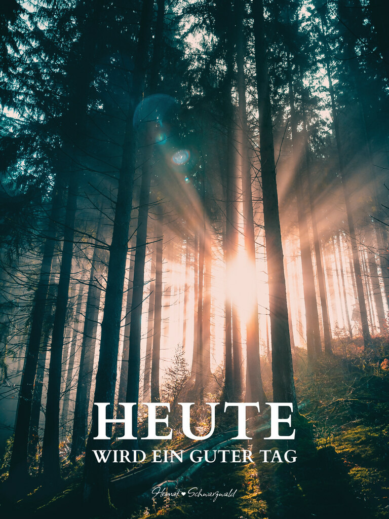Edition “MOTIVATION” | Spruch: HEUTE WIRD EIN GUTER TAG. Die Edition “MOTIVATION” bringt den Spirit des Schwarzwaldes zu Ihnen nach Hause. Wählen Sie Ihren Lieblingsspruch aus zehn unterschiedlichen Varianten. Perfekt für Ihr eigenes Zuhause oder als Geschenk für heimatverliebte Freunde.
 - Realisiert mit Pictrs.com