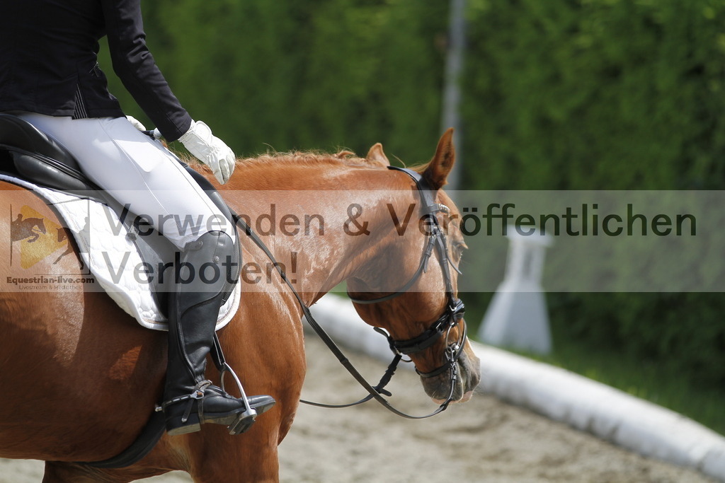 _MG_8711 | equestrian-live-com