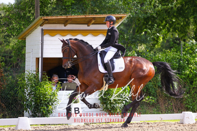 DKP41511 | Turnierfotos kaufen im Webshop von Daniel Kuhl Photography – entdecke professionelle Reitsportfotos aus Turnieren & Events. Hochwertige Turnierbilder online bestellen & sichern. Jetzt Fotos von Reitsportturnieren kaufen!