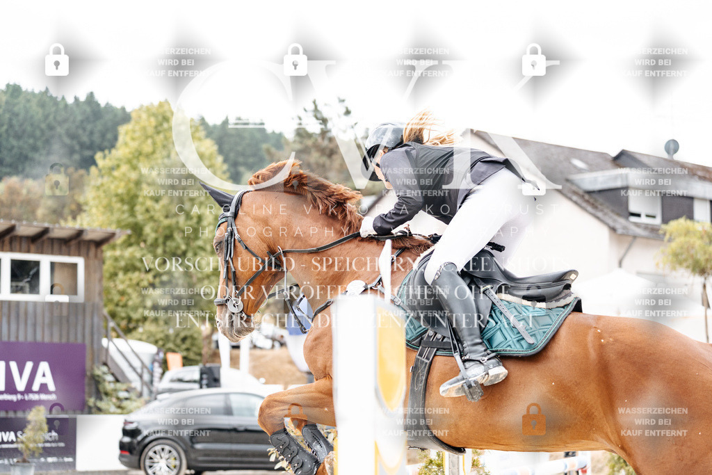 CK906129 | Turnierfotografie Pferdefotografie Trier Rheinland-Pfalz Pferdesport Reitsport Tierfotografie Sportfotografie Pferdevideo Pferdevideografie Equestrianvideography equestrianphotography  - Realisiert mit Pictrs.com