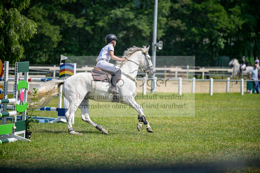 Reitturnier Voxtrup | Entdecke hochwertige Reitturnierfotos von Foto Oger. Professionell, emotional und authentisch – jetzt Lieblingsmomente im Shop bestellen.Deutschlandweite Turnierfotografie. - Realized with Pictrs.com