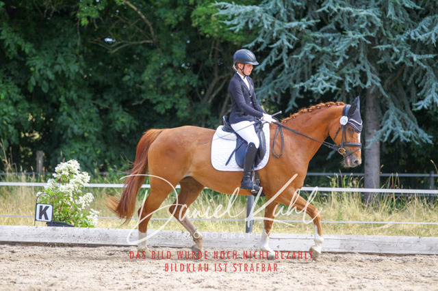 DKP46049 | Turniersportfotografie; Pferdefotografie; Dressurfotografie