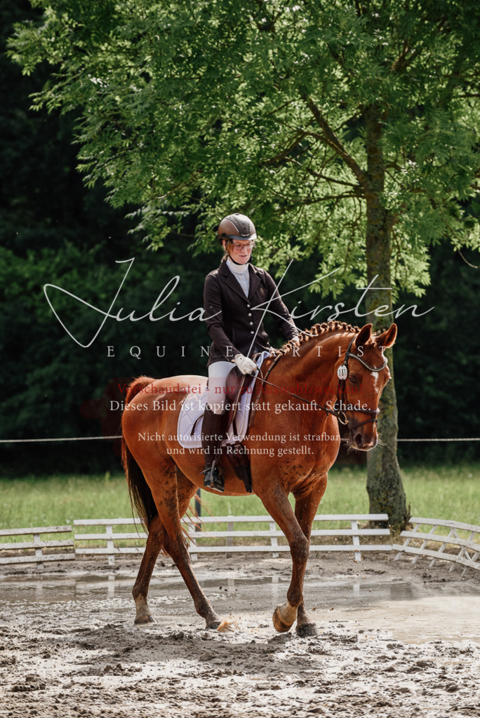 DSC_9656 | Pferde- und Turnierfotografie in Westsachsen. Pferdeportraits, Auftragszeichnungen und intuitive Kunst.