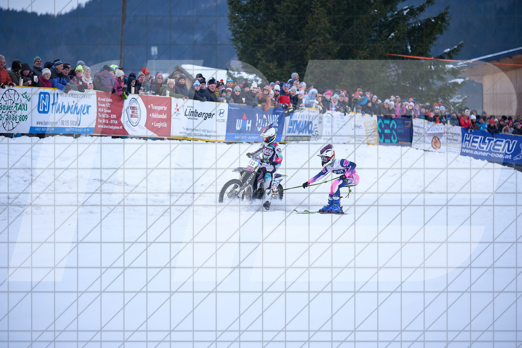 11. Holzknecht Skijöring | Skijöring am 24.01.2026: 11. Holzknecht Skijöring in Gosau am Dachstein, Oberösterreich, ÖsterreichFoto: © 2026 Martin Bihounek | mb-creative.eu