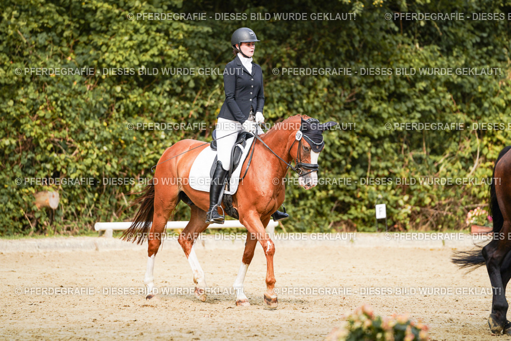 DSC03074 | Pferdegrafie