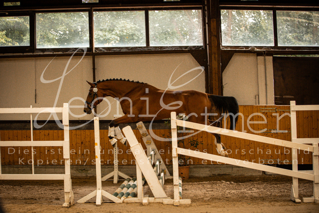 2FS_L00114 | Leoni Ertmer Photography - Realisiert mit Pictrs.com