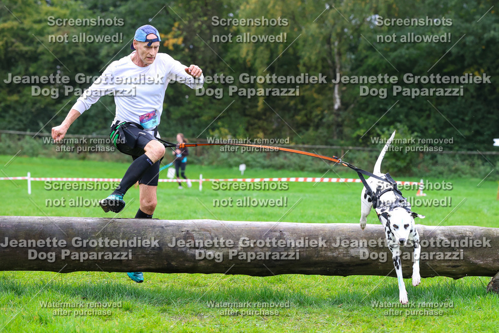 Dog Paparazzi -  SD1026-1913 | Dog Paparazzi Jeanette Grottendiek Fotografie & Videografie - Realisiert mit Pictrs.com