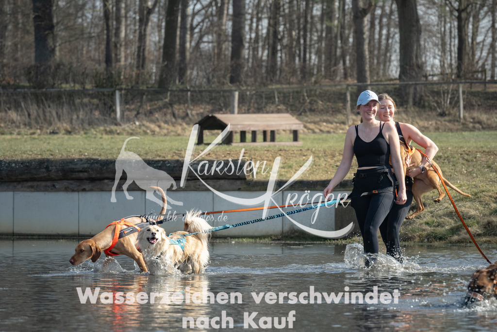 1305_ZZ94584 | kk-dogfotos