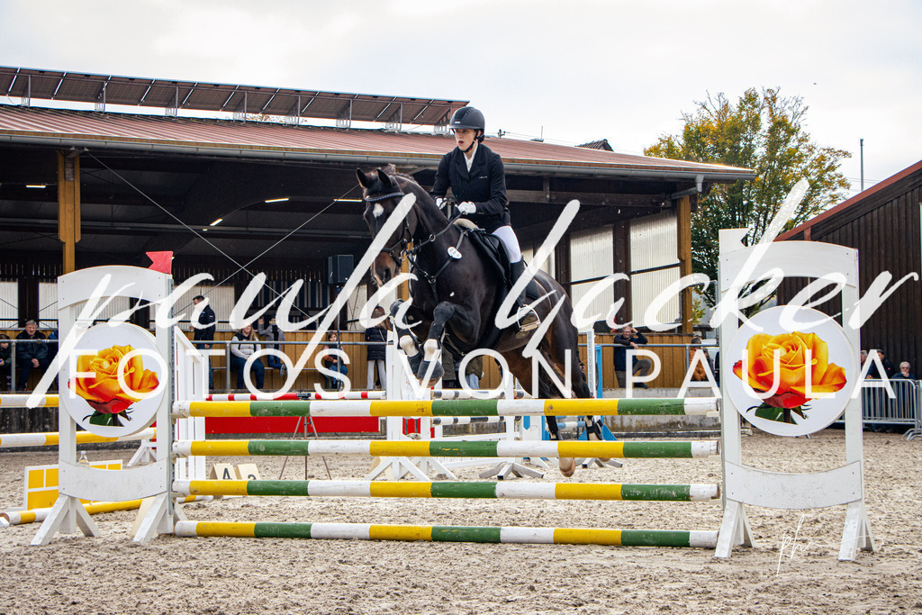 IMG_4391 | Erleben Sie dynamische Sport- und emotionale Tierfotografie in Süddeutschland mit Fotos von Paula. Spezialisiert auf Pferde- und Hundefotografie sowie Sportevents. Kontaktieren Sie mich für einzigartige und ausdrucksstarke Bilder Ihrer besonderen Momente. - Realisiert mit Pictrs.com