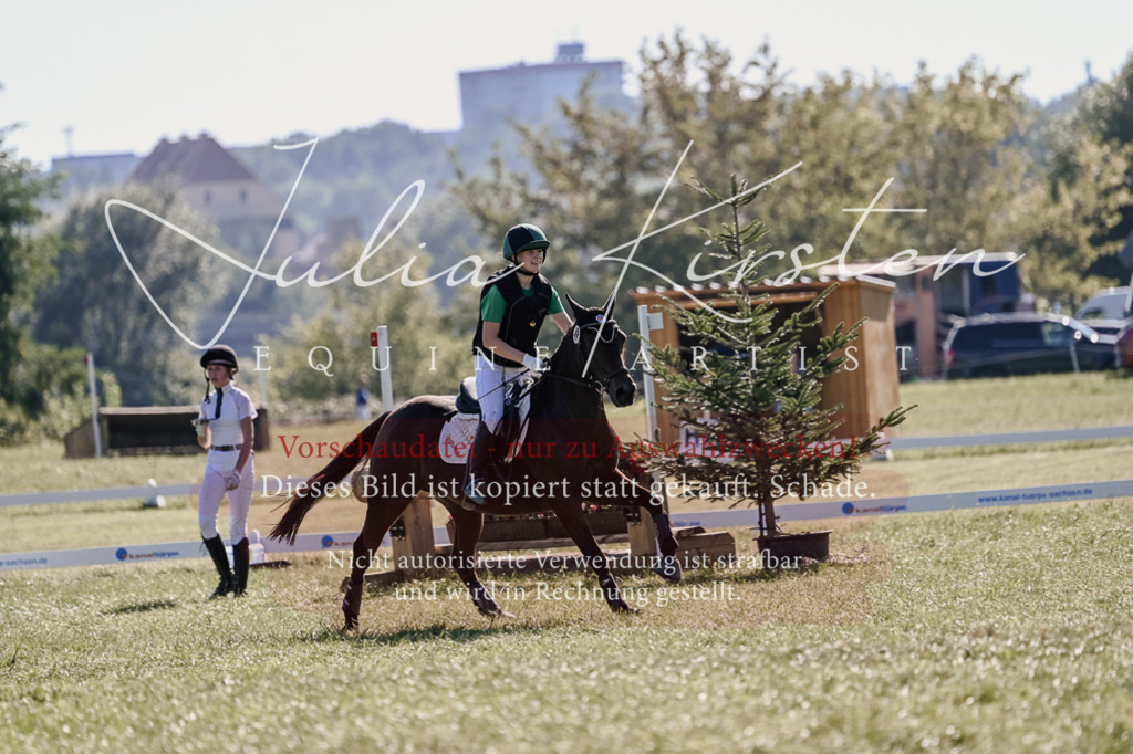 DSC_3594 | Pferde- und Turnierfotografie in Westsachsen. Pferdeportraits, Auftragszeichnungen und intuitive Kunst.