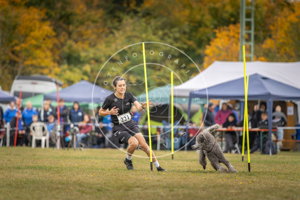 Pfotenfotografie_DV3A3738 | Hundefotografie, Tierfotograf, Pfotenfotografie, Fotoshooting Hund, Hunde Portrait, Hundesport, Hundeportraits, Heideshooting, Hunde, Sportfotograf, Hundefotograf, Turnierhundsport, THS,  - Realisiert mit Pictrs.com
