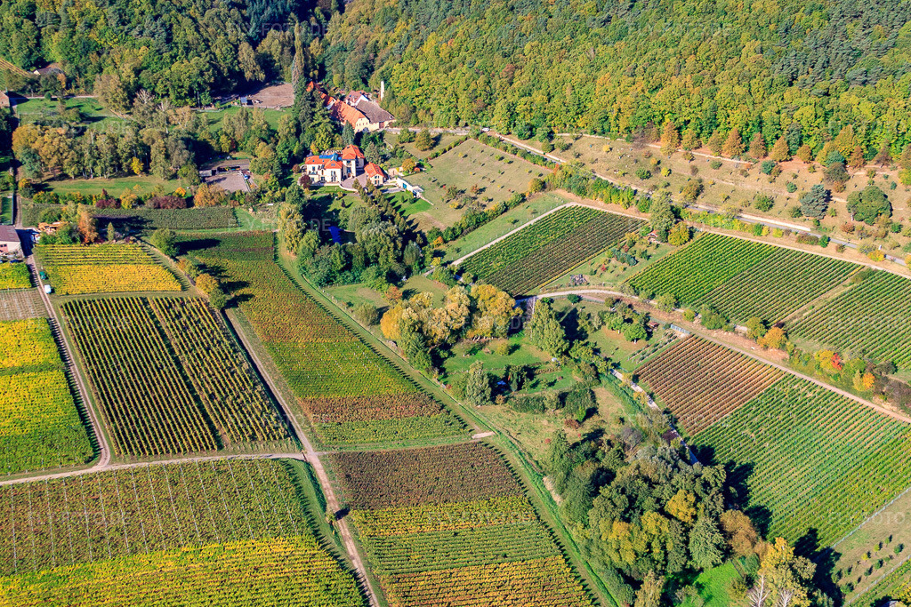 Luftbild: Am Hainbach in Gleisweiler im Bundesland Rheinland-Pfalz in Deutschland. Foto: IMG_22275.jpg vom 15.10.2009 durch Werner Riehm/FLY-FOTO.de