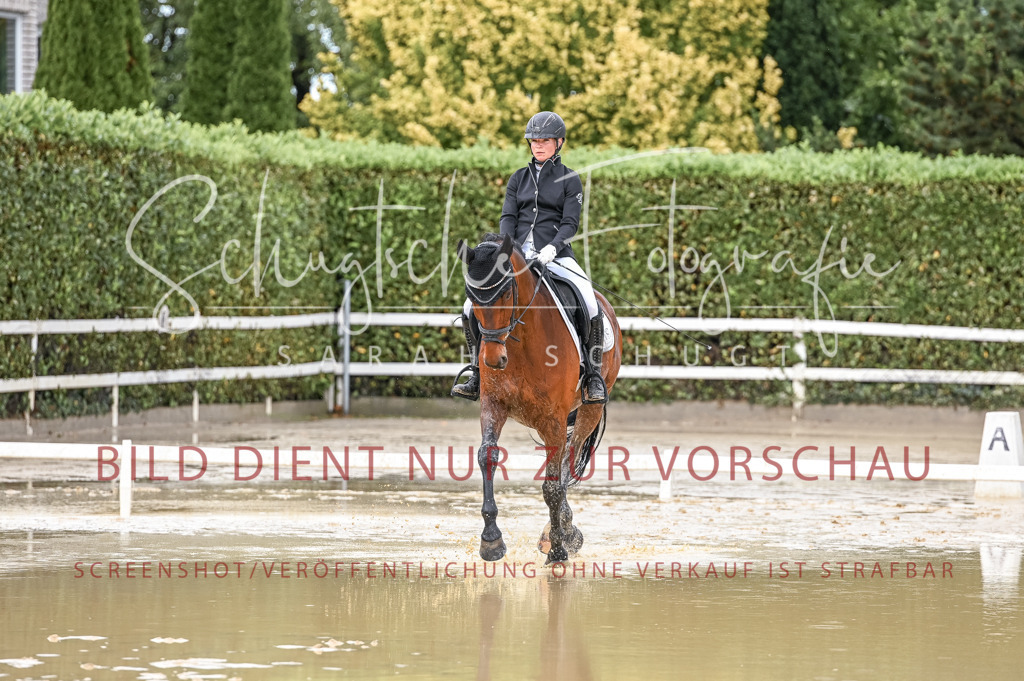 Schugtsche-Aluta25-54.Dressurprf.L1Trense-152 | Schugtsche Fotografie - Realizzato con Pictrs.com