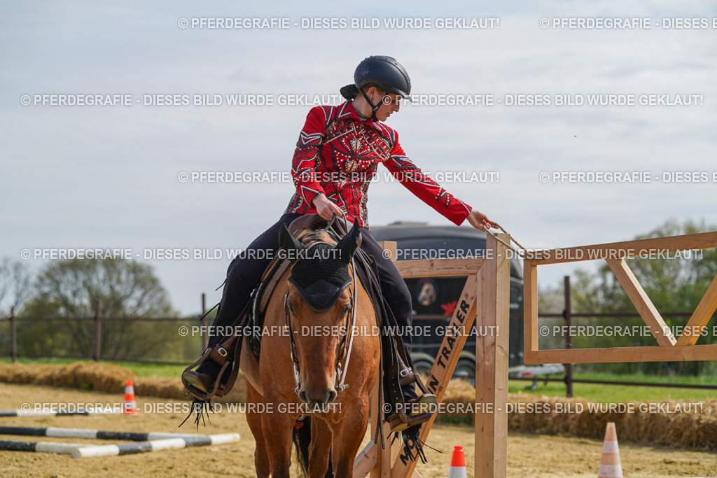 DSC04458 | Pferdegrafie