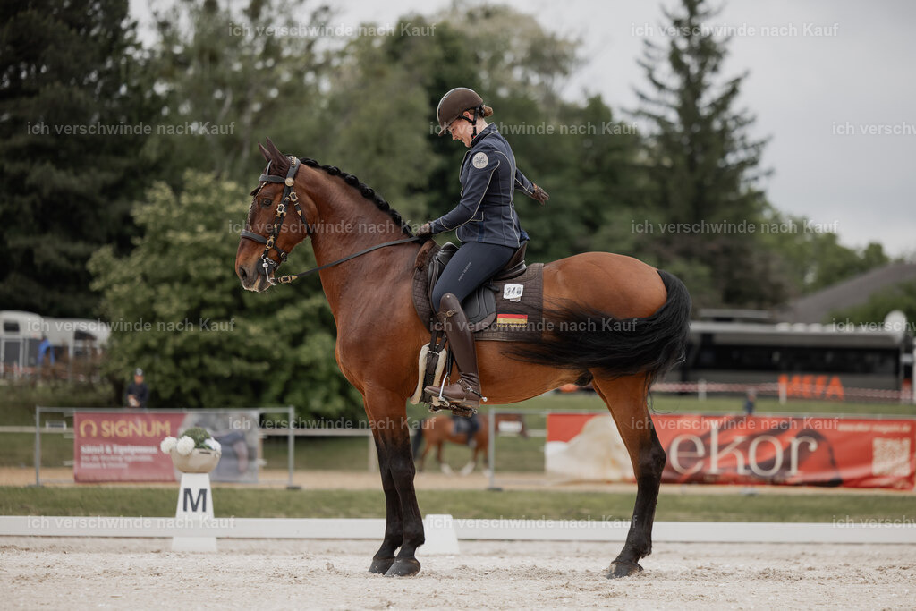 WE_DR_Stoib_340_ _PI2025_136 | Pferd International München 2025