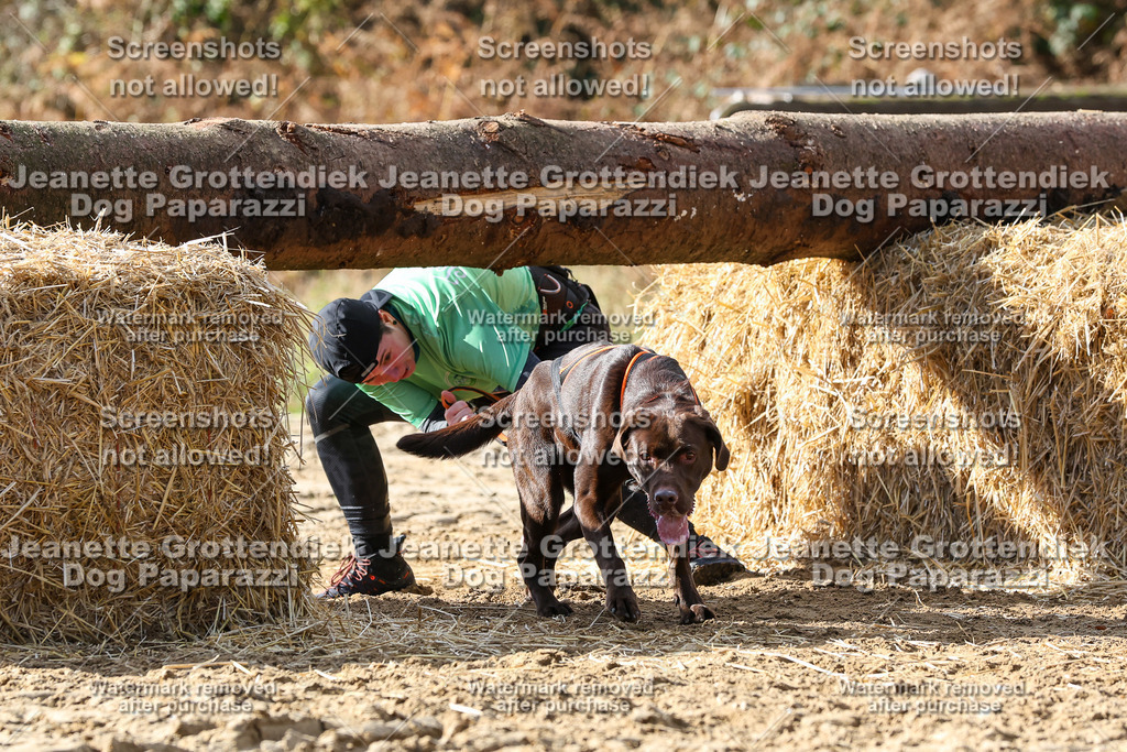 Dog Paparazzi - Strongdog 10-25-5230 | Dog Paparazzi Jeanette Grottendiek Fotografie & Videografie - Realisiert mit Pictrs.com