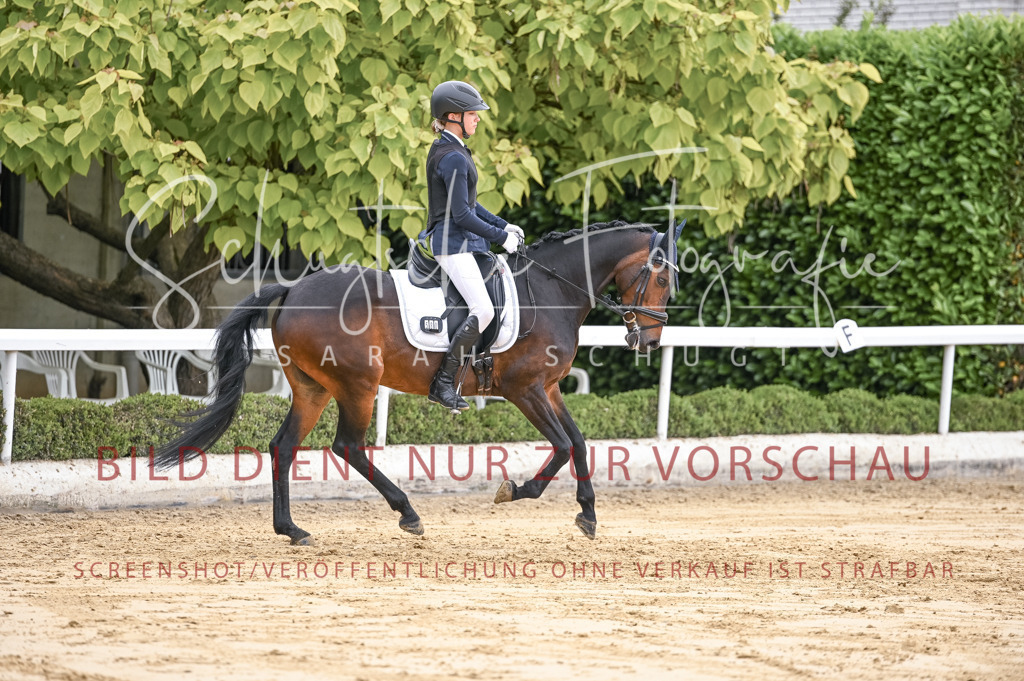 Schugtsche-Aluta25-42.EDressur -103 | Schugtsche Fotografie - Realisiert mit Pictrs.com
