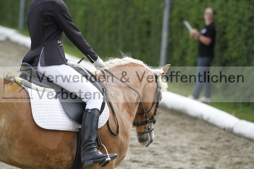 _MG_1098 | equestrian-live-com