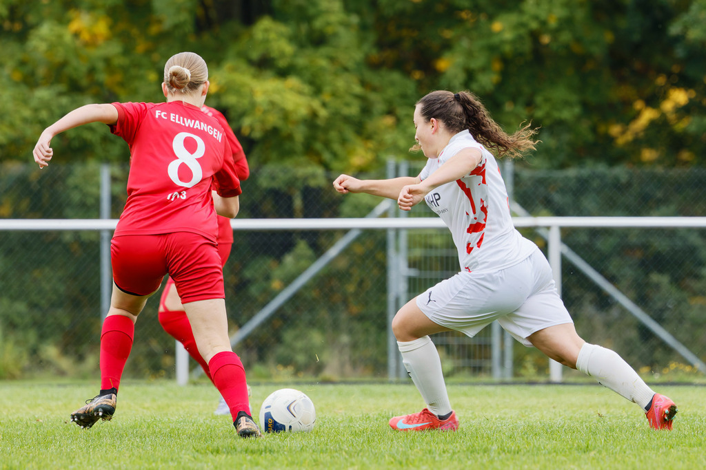 FCEFCH_251012_0734 | Fotopresso – Sportfotografie in Heidenheim & Umgebung. Professionelle Sportfotografie für unvergessliche Momente. Dynamische Action-Shots, emotionale Szenen & hochwertige Bilder. - Realisiert mit Pictrs.com