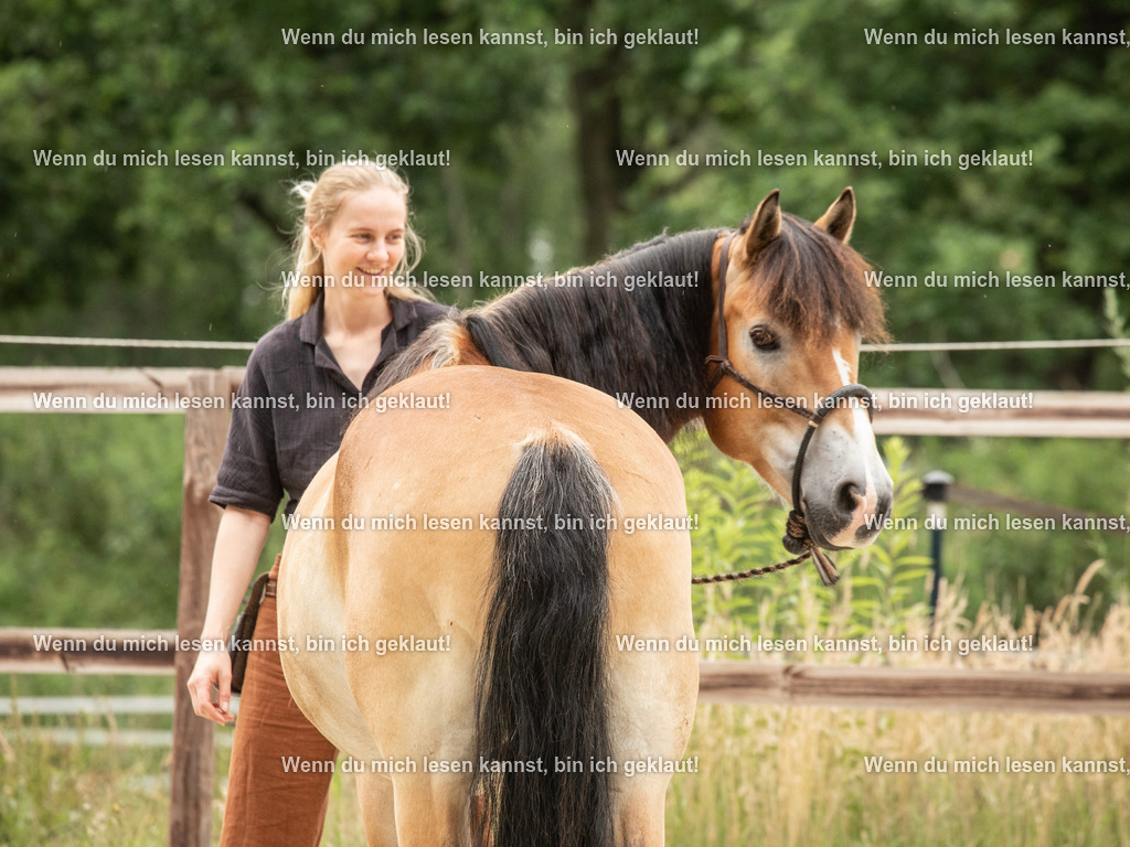 598A5983 | photographylinaismer - Realisiert mit Pictrs.com