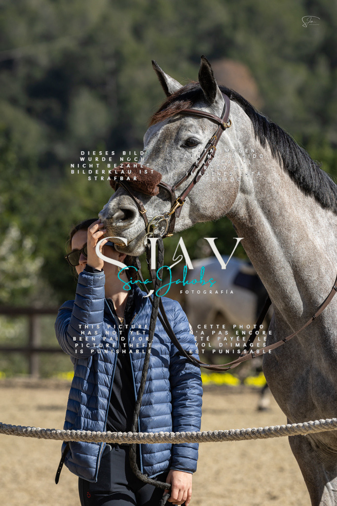 IMG_6513 | s-jay-photography - Realisiert mit Pictrs.com