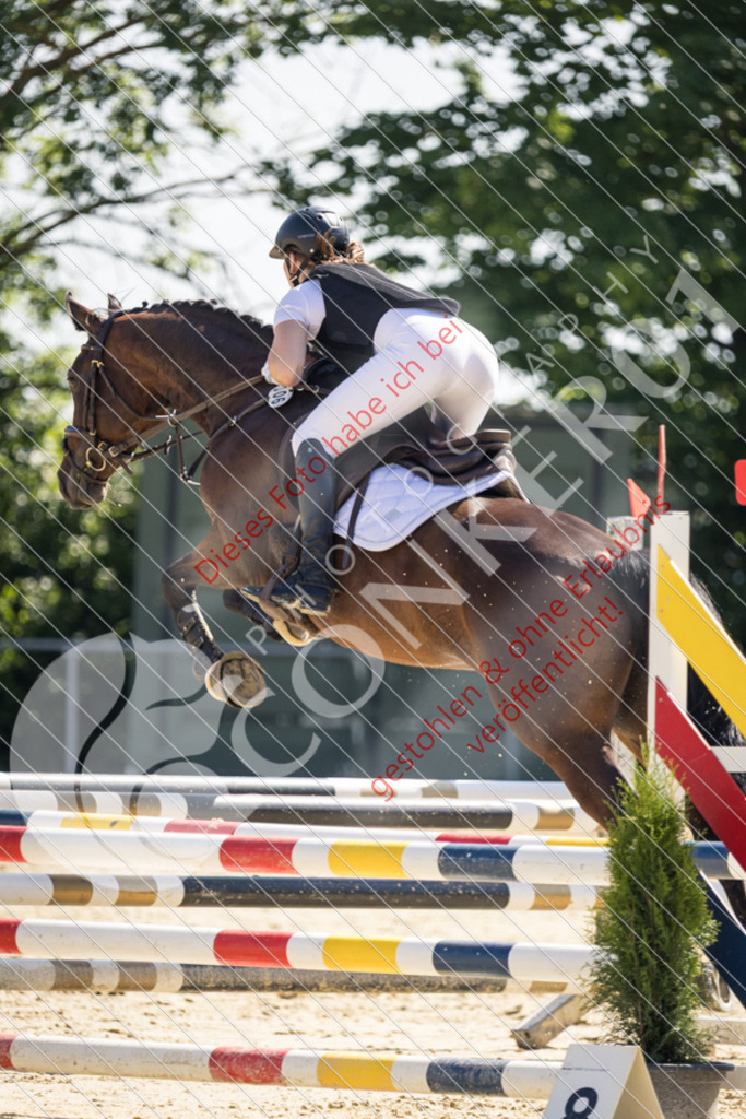 IMG_3332 | Sport-, Event- und Tierfotos in Profiqualität. Einfach auswählen, bestellen und herunterladen. Dein Moment – perfekt festgehalten.