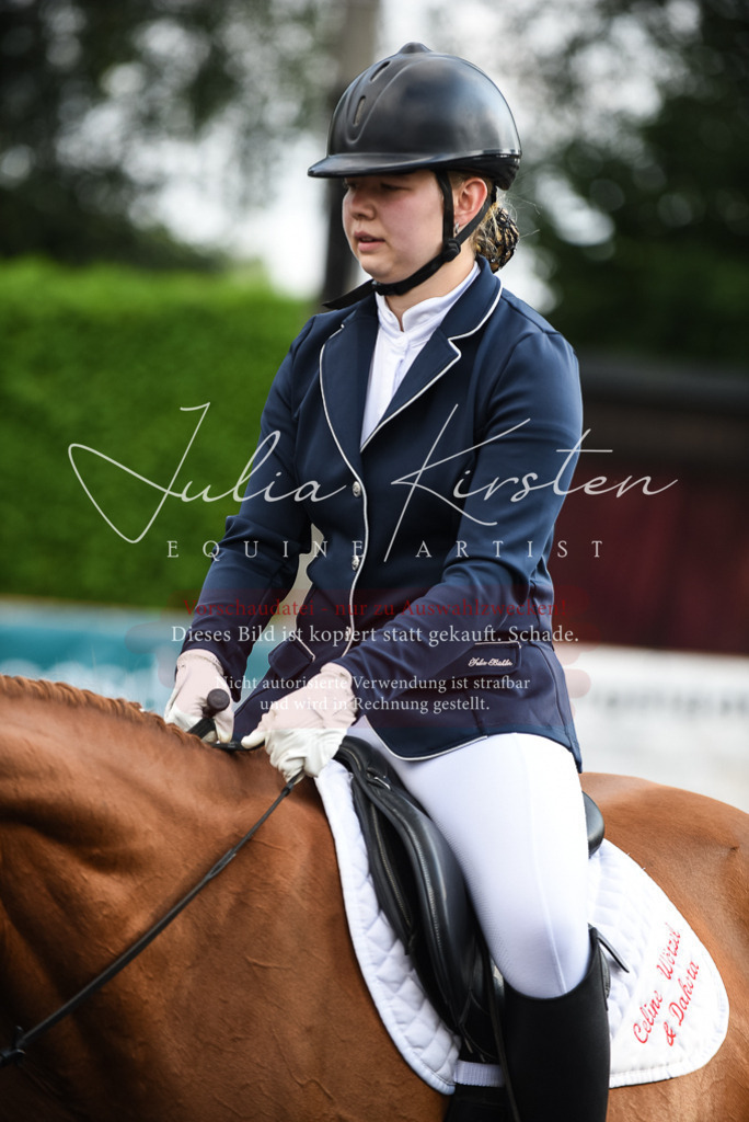 DSC_3447 | Pferde- und Turnierfotografie in Westsachsen. Pferdeportraits, Auftragszeichnungen und intuitive Kunst.